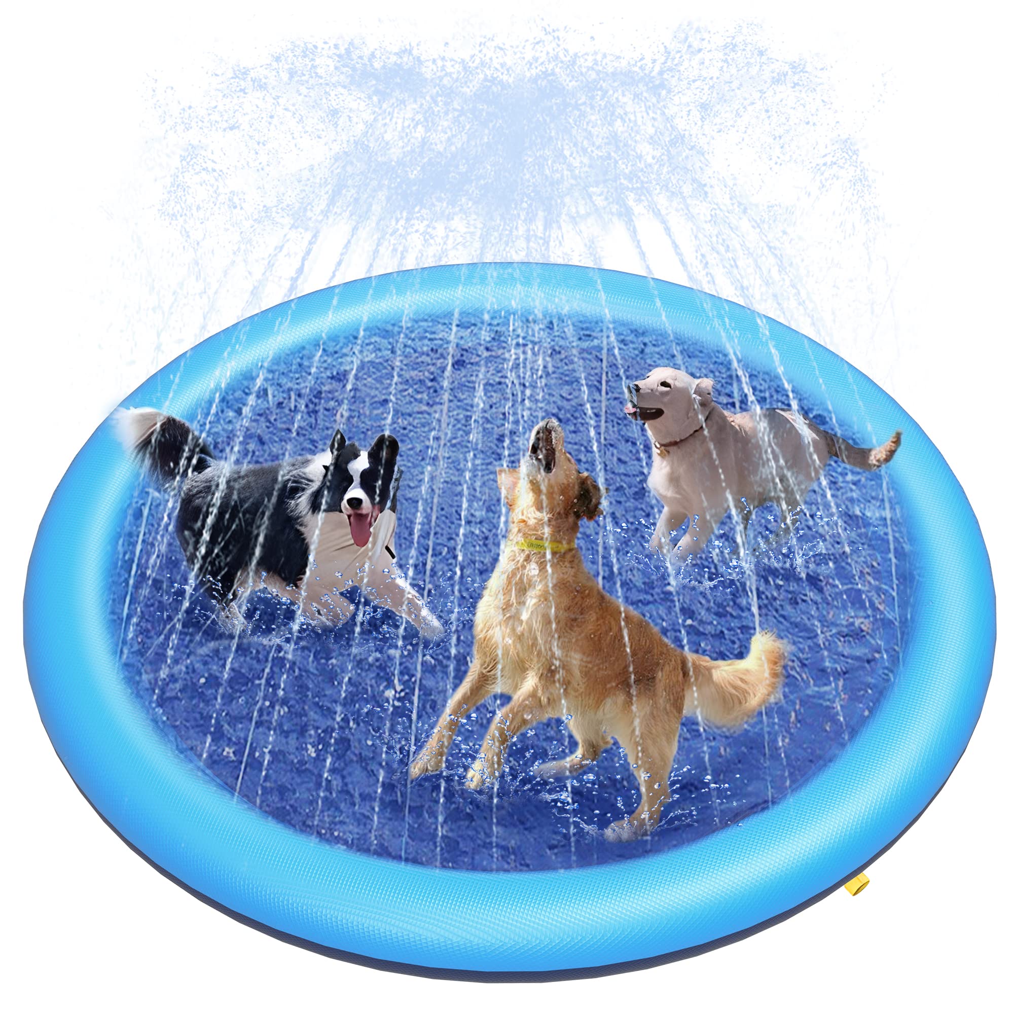 Tappetino Spruzzatore per Cani - Outdoor Rug Waterproof recensione e prezzo